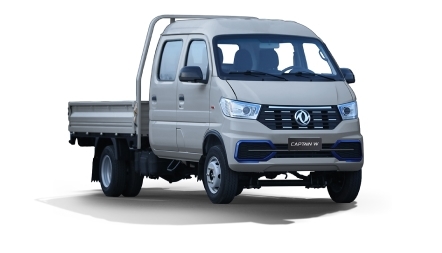 CAPTAIN W double cabine Gris