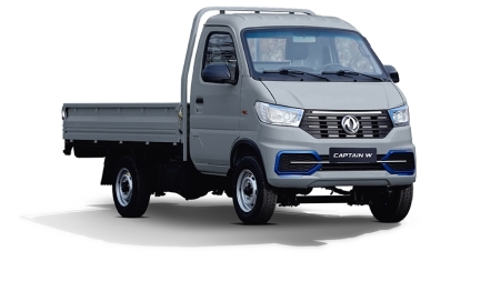 CAPTAIN W simple cabine simple roues Gris