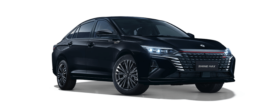 SHINE MAX Performance Noir