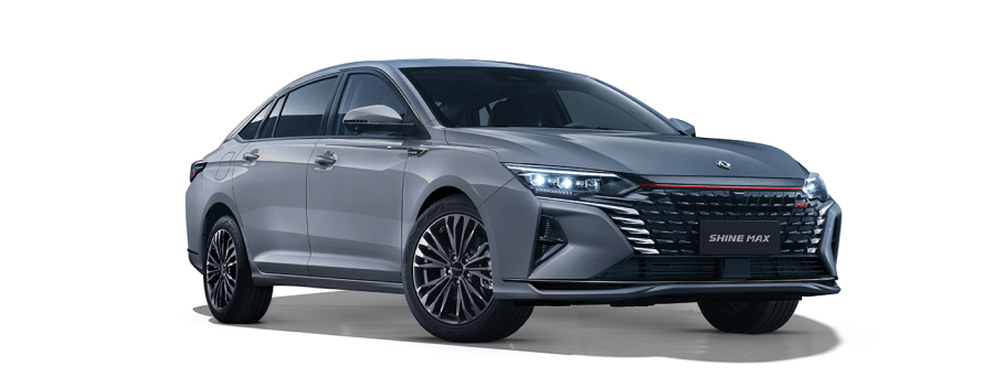 SHINE MAX Performance Gris