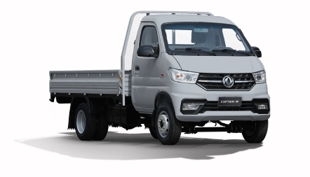 CAPTAIN W simple cabine double roues Gris